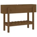 Lit surélevé de jardin marron miel 101x30x69 cm bois pin massif