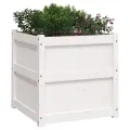 Jardinière blanc 60x60x60 cm bois de pin massif