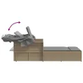 Chaise longue double et auvent et coussins mélange beige rotin