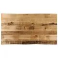 Dessus de table bord vivant 100x60x2,5 cm bois de manguier brut