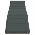 Chaises longues lot de 2 avec coussins gris résine tressée