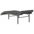 Chaises longues lot de 2 avec coussins gris résine tressée