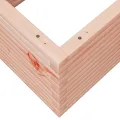 Jardinière 110x60x45,5 cm bois massif de douglas