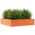 Jardinière cire marron 100x100x23 cm bois de pin massif