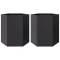 Jardinières 2 pcs noir hexagone 46x40x45 cm acier