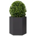 Jardinières 2 pcs noir hexagone 46x40x45 cm acier