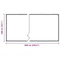 Bâche transparente avec œillets 2x6 m polyéthylène