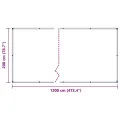 Bâche transparente avec œillets 2x12 m PVC