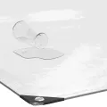 Bâche transparente avec œillets 6x8 m polyéthylène