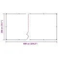 Bâche transparente avec œillets 2x6 m polyéthylène