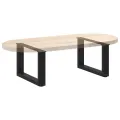 Pieds de table basse forme de U 2 pcs noir 50x(30-31) cm acier