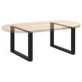 Pieds de table basse forme de U 2 pcs noir 60x(42-43) cm acier