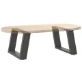 Pieds de table basse forme de U 2 pcs anthracite 50x(30-31) cm