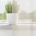 Rideaux en voile avec passants 2 pcs crème