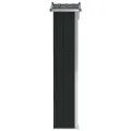 Abri de jardin Anthracite 116x45x175 cm Acier galvanisé