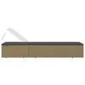 Chaise longue Résine tressée Marron et gris foncé