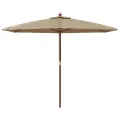 Parasol de jardin avec mât en bois taupe 299x240 cm