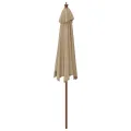 Parasol de jardin avec mât en bois taupe 299x240 cm