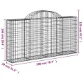 Panier de gabions arqué 200x30x100/120 cm Fer galvanisé