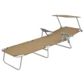 Chaise longue pliable avec auvent Acier Taupe