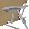 Chaise longue pliable avec auvent Acier Taupe