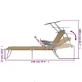 Chaise longue pliable avec auvent Acier Taupe