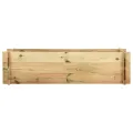 Jardinière surélevée de légumes Bois de pin imprégné 120 cm