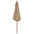 Parasol d'extérieur avec mât en bois 300 cm taupe