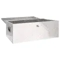 Boîte de rangement Argenté 100x55x37 cm Aluminium