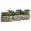 Lit surélevé à gabion Fer galvanisé 300x100x50 cm