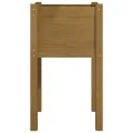 Jardinières 2 pcs Marron miel 40x40x70 cm Bois de pin massif