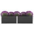 Lit surélevé de jardin 250x100x54 cm WPC Gris