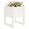 Jardinières 2 pcs Blanc 40x40x52,5 cm Bois massif de pin