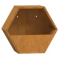Jardinières murales 2 pcs Rouillé Acier corten 30x10x25 cm
