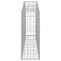 Paniers à gabions arqués 25 pcs 200x30x80/100 cm Fer galvanisé