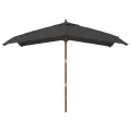 Parasol de jardin avec mât en bois anthracite 300x300x273 cm
