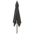 Parasol de jardin avec mât en bois anthracite 300x300x273 cm
