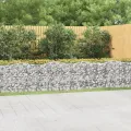 Lit surélevé à gabions arqué 800x50x100 cm Fer galvanisé
