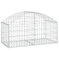 Panier de gabions arqué 100x50x40/60 cm Fer galvanisé