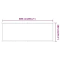 Auvent vertical Vert clair 100x600 cm Tissu oxford