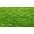 Grillage pour volière Acier galvanisé 25 x 0,75 m Argenté