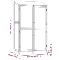 Remise de jardin Anthracite 102x52x174,5cm Bois de sapin solide