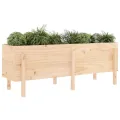 Lit surélevé de jardin 160x50x57 cm bois de pin massif