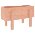 Jardinière 62x30x38 cm bois massif douglas
