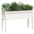 Jardinières avec pieds blanc 110x31x70 cm bois de pin massif