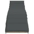 Chaises longues lot de 2 et coussins gris clair résine tressée