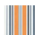 Tissu de remplacement pour auvent rayures multicolores 4,5x3,5m