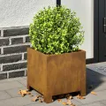 Jardinières 2 pcs 30x30x30 cm acier résistant aux intempéries