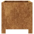 Jardinières 2 pcs 30x30x30 cm acier résistant aux intempéries