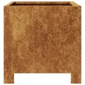 Jardinières 2 pcs 30x30x30 cm acier résistant aux intempéries
